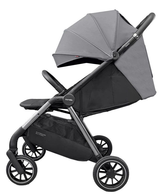 Wózek spacerowy Carrello Delta Flint Grey