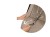 Wózek spacerowy Cybex Beezy 2024