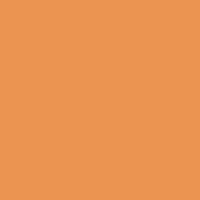 Wózek spacerowy Carrello Bravo 2024 Amber Orange