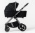 Wózek wielofunkcyjny Dada Prams Flux 2w1 Black