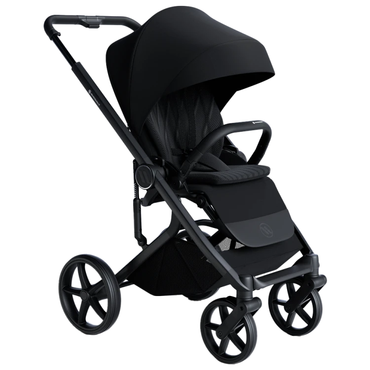 Wózek wielofunkcyjny Avionaut Sirius 2w1 Black